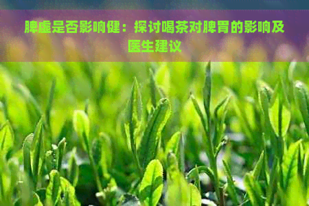 脾虚是否影响健：探讨喝茶对脾胃的影响及医生建议