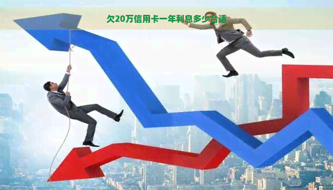 欠20万信用卡一年利息多少合适