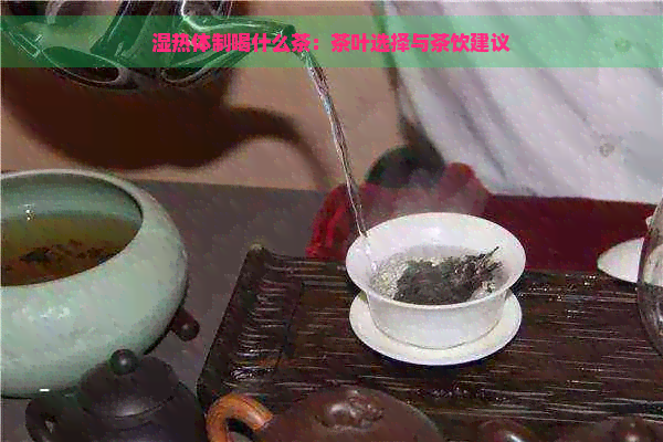 湿热体制喝什么茶：茶叶选择与茶饮建议