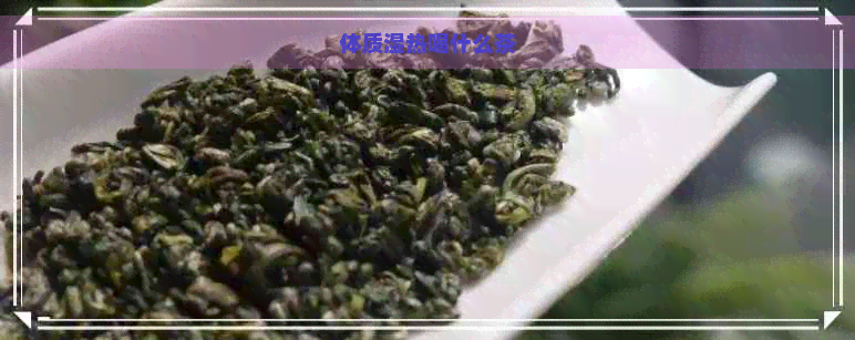 体质湿热喝什么茶