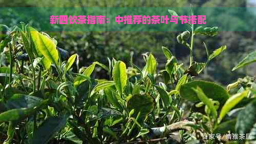 新四饮茶指南：中推荐的茶叶与节搭配