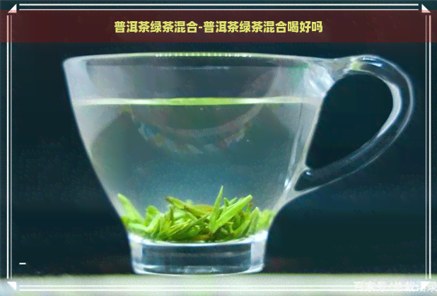 普洱茶绿茶混合-普洱茶绿茶混合喝好吗