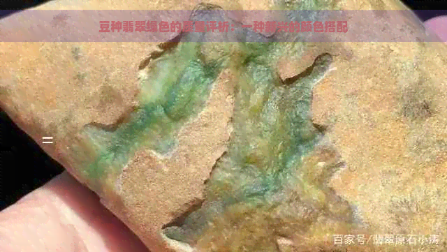 豆种翡翠绿色的质量评析：一种新兴的颜色搭配