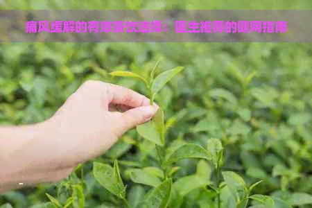 痛风缓解的有效茶饮选择：医生推荐的健网指南