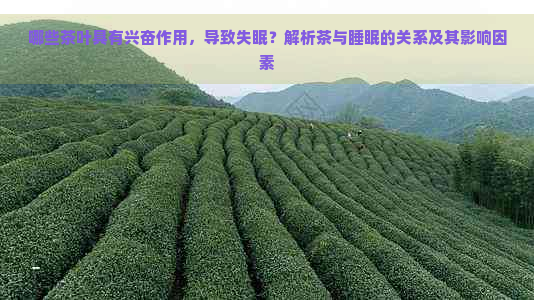 哪些茶叶具有兴奋作用，导致失眠？解析茶与睡眠的关系及其影响因素