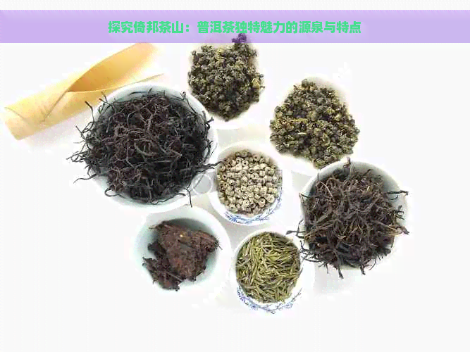 探究倚邦茶山：普洱茶独特魅力的源泉与特点