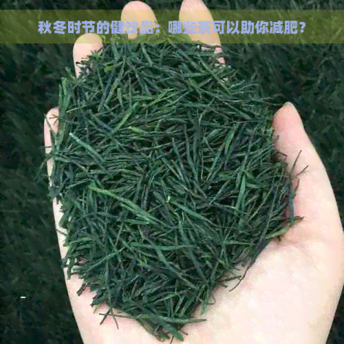 秋冬时节的健饮品：哪些茶可以助你减肥？