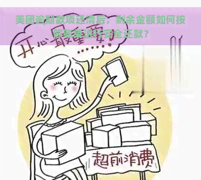 美团逾期款项还清后，剩余金额如何按照账单进行安全还款？