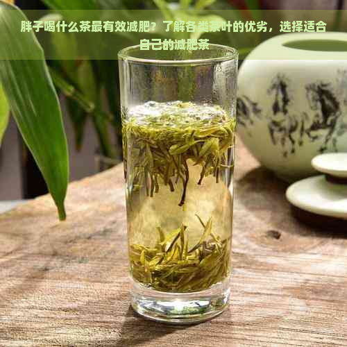 胖子喝什么茶最有效减肥？了解各类茶叶的优劣，选择适合自己的减肥茶