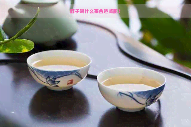 胖子喝什么茶合适减肥？