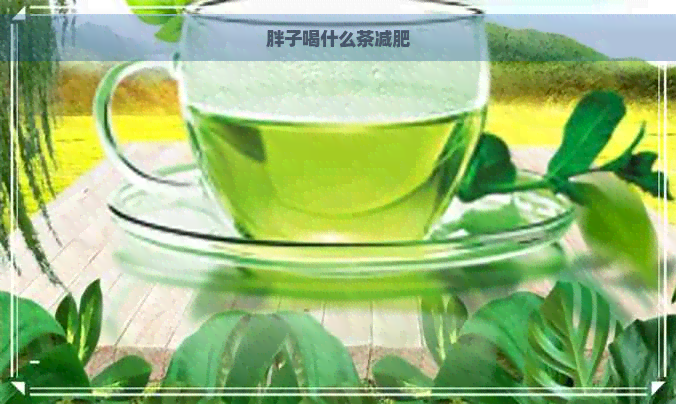 胖子喝什么茶减肥