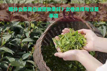 喝什么茶美白减肥效果好？女性选择与注意事项