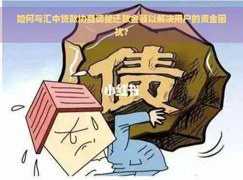 如何与汇中贷款协商调整还款金额以解决用户的资金困扰？