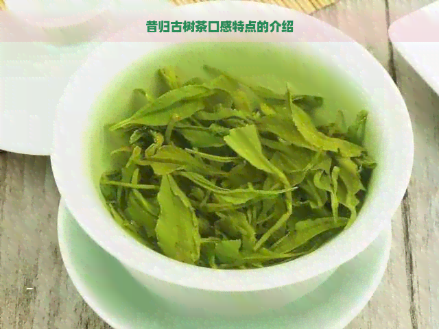 昔归古树茶口感特点的介绍