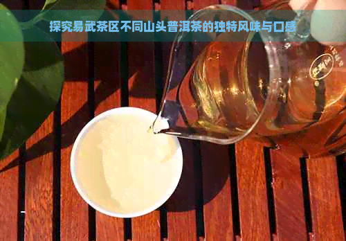 探究易武茶区不同山头普洱茶的独特风味与口感