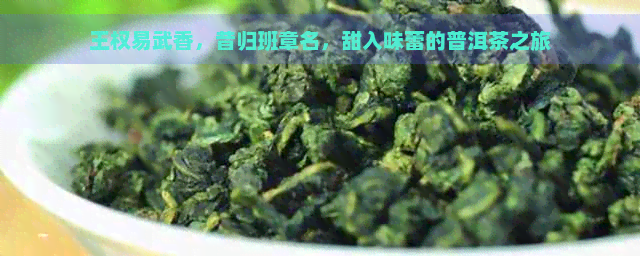 王权易武香，昔归班章名，甜入味蕾的普洱茶之旅