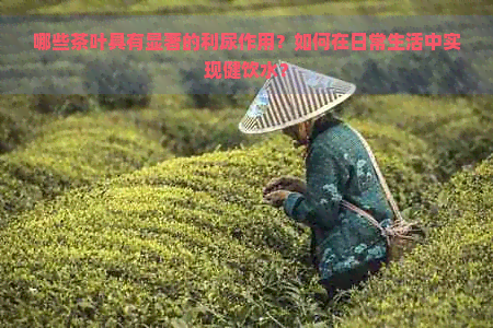 哪些茶叶具有显著的利尿作用？如何在日常生活中实现健饮水？