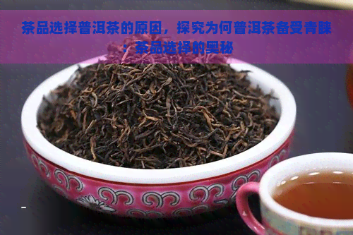 茶品选择普洱茶的原因，探究为何普洱茶备受青睐：茶品选择的奥秘