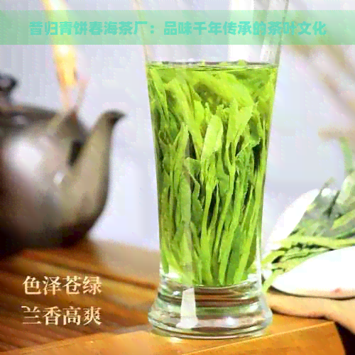 昔归青饼春海茶厂：品味千年传承的茶叶文化