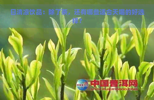 日清凉饮品：除了茶，还有哪些适合天喝的好选择？