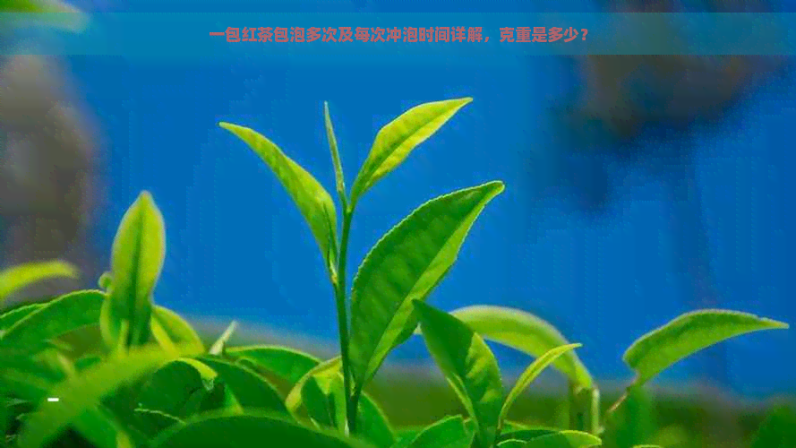 一包红茶包泡多次及每次冲泡时间详解，克重是多少？