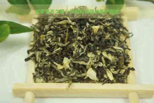 红茶菌多久喂一次糖和胃宝的养护方法