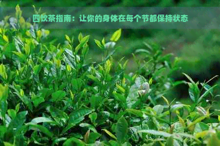 四饮茶指南：让你的身体在每个节都保持状态