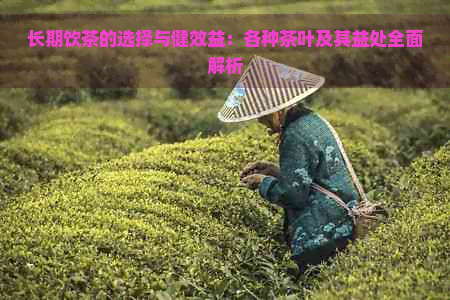 长期饮茶的选择与健效益：各种茶叶及其益处全面解析