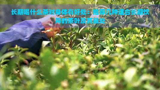 长期喝什么茶对身体有好处：推荐几种适合长期饮用的茶叶及其益处