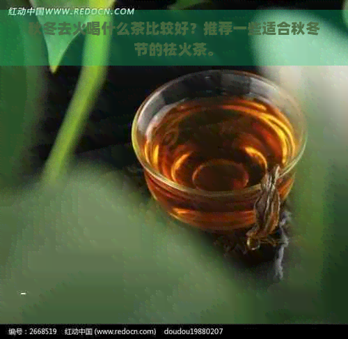 秋冬去火喝什么茶比较好？推荐一些适合秋冬节的祛火茶。