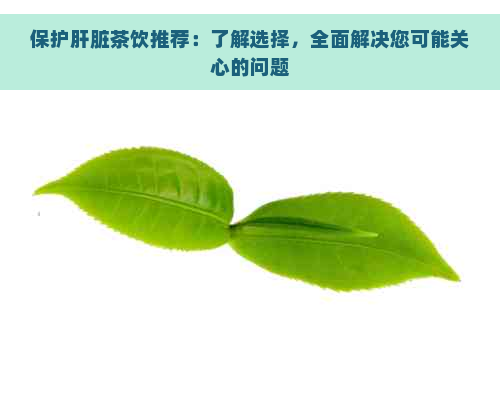 保护肝脏茶饮推荐：了解选择，全面解决您可能关心的问题