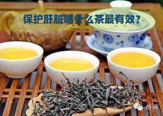 保护肝脏喝什么茶最有效？