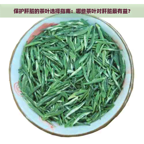 保护肝脏的茶叶选择指南：哪些茶叶对肝脏最有益？