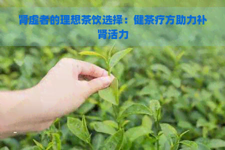 肾虚者的理想茶饮选择：健茶疗方助力补肾活力