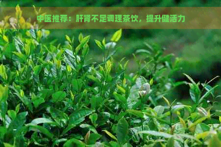 中医推荐：肝肾不足调理茶饮，提升健活力