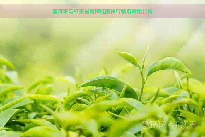 普洱茶与红茶最新标准的执行情况对比分析