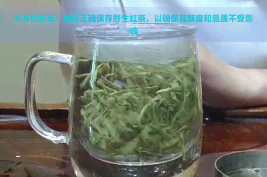 全方位指南：如何正确保存野生红茶，以确保其新度和品质不受影响