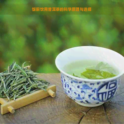 饭前饮用普洱茶的科学原理与选择