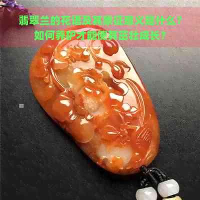 翡翠兰的花语及其象征意义是什么？如何养护才能使其茁壮成长？