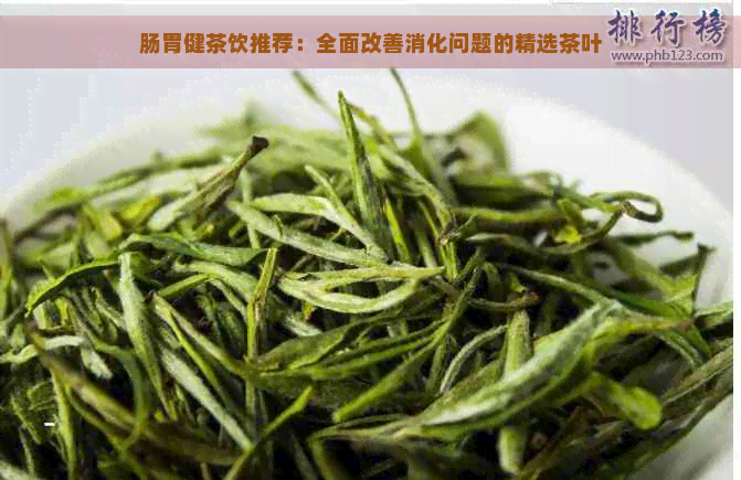 肠胃健茶饮推荐：全面改善消化问题的精选茶叶