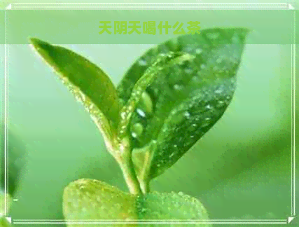 天阴天喝什么茶