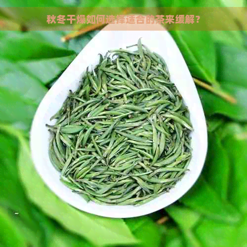 秋冬干燥如何选择适合的茶来缓解？