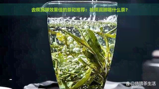 去痰润肺效果佳的茶和推荐：祛痰润肺喝什么茶？