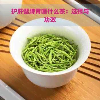 护肝健脾胃喝什么茶：选择与功效