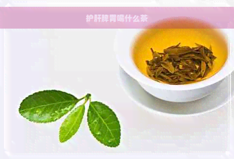 护肝脾胃喝什么茶