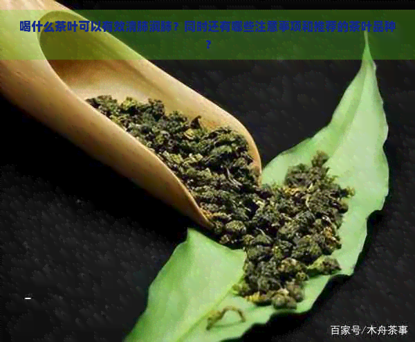 喝什么茶叶可以有效清肺润肺？同时还有哪些注意事项和推荐的茶叶品种？