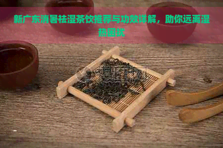 新广东消暑祛湿茶饮推荐与功效详解，助你远离湿热困扰