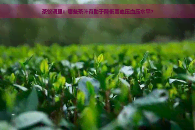 茶饮调理：哪些茶叶有助于降低高血压血压水平？