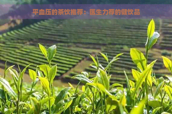 平血压的茶饮推荐：医生力荐的健饮品