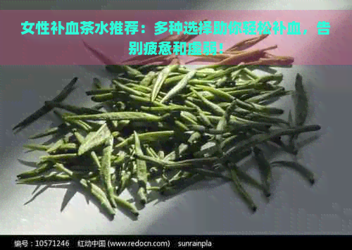 女性补血茶水推荐：多种选择助你轻松补血，告别疲惫和虚弱！